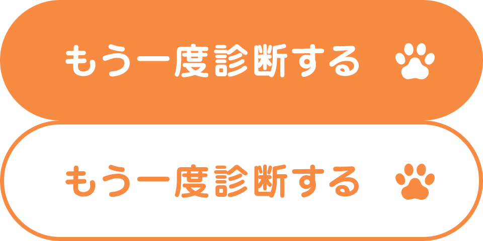 ｂｓキャッ東 2月22日 月 は 猫の日 あなたが猫ならどんな猫 猫診断結果 ｂｓテレ東