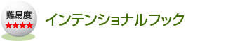 �C���e���V���i���t�b�N
