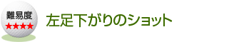 ����������̃V���b�g