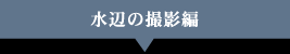 水辺の撮影編