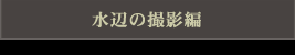 水辺の撮影編