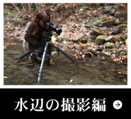 水辺の撮影編