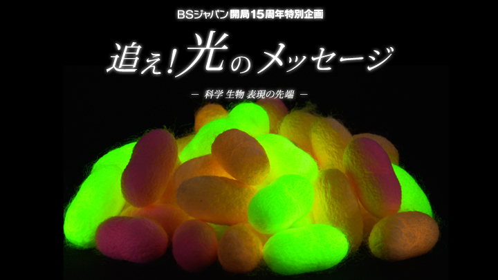 ＢＳジャパン開局１５周年特別企画 追え！光のメッセージ －科学 生物 表現の先端－