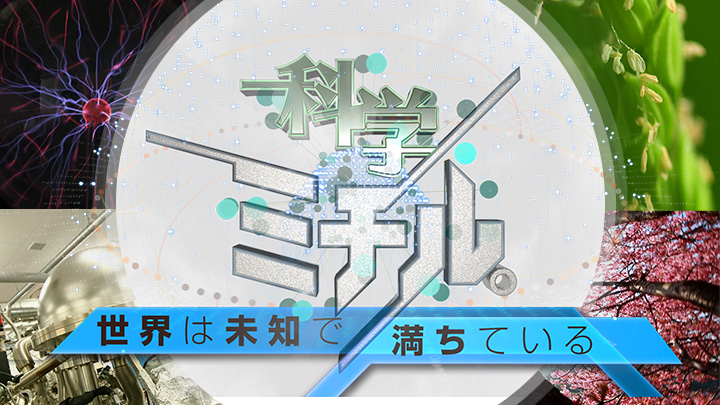科学ミチル。　世界は未知で満ちている