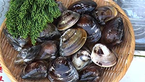 知る食うロード～発見！食の景観～