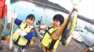 シイラ2