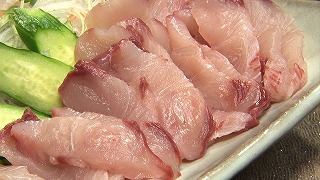 シイラ4