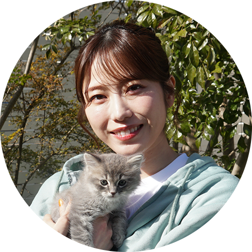 横山由依