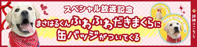 スペシャル放送記念 まさはるくんふわふわだきまくらに缶バッジがついてくる