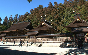 謎解きニッポン仰天マップまさかのご当地裏ジジョー