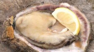 知る食うロード～発見！食の景観～
