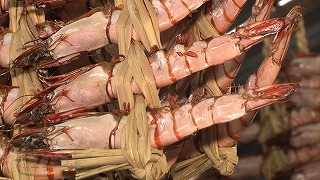 打瀬船6