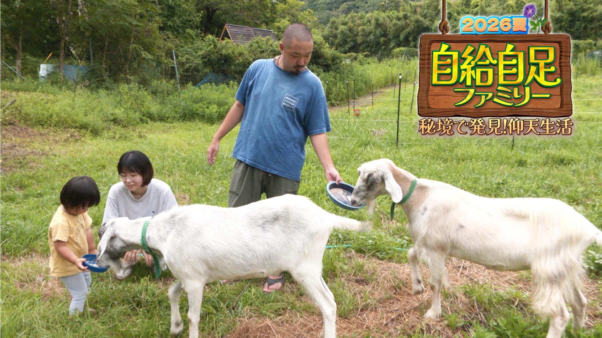 自給自足ファミリー２０２６夏【秘境で発見！仰天生活…大自然と生きる家族物語】