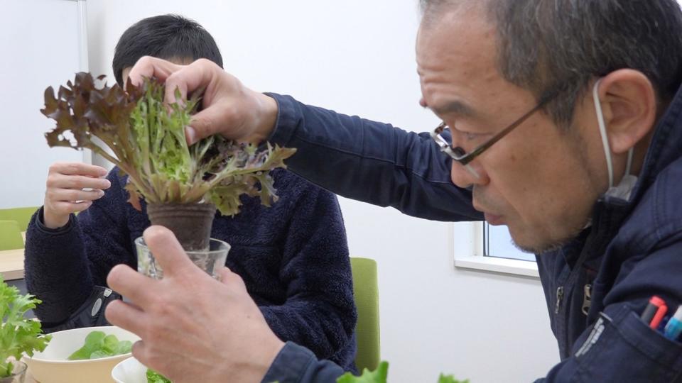 経済航海図マゼランの羅針盤～奮闘６００日！“夢の野菜”づくりに挑む～