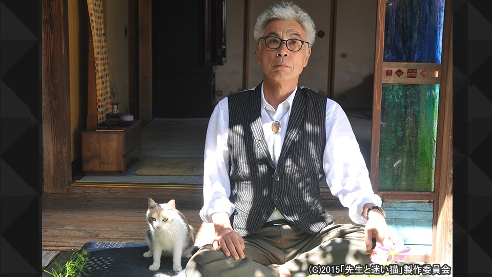 シネマスペシャル『先生と迷い猫』