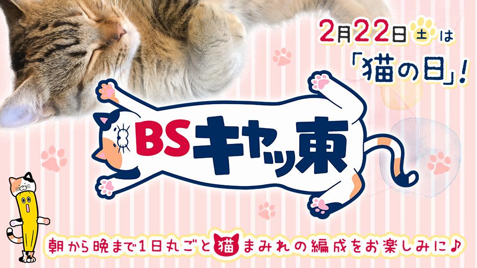 BSキャッ東