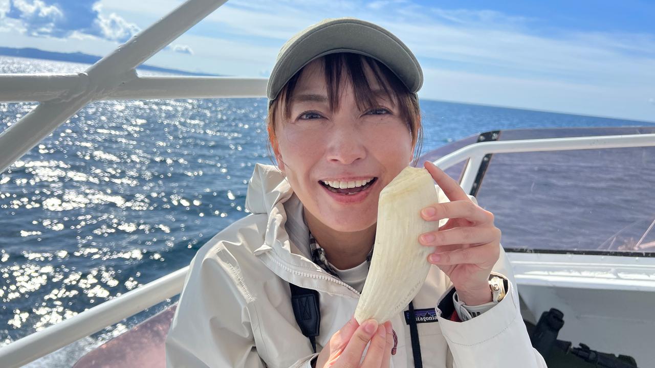 地の涯ての先へ　最後の秘境知床 遥かな物語