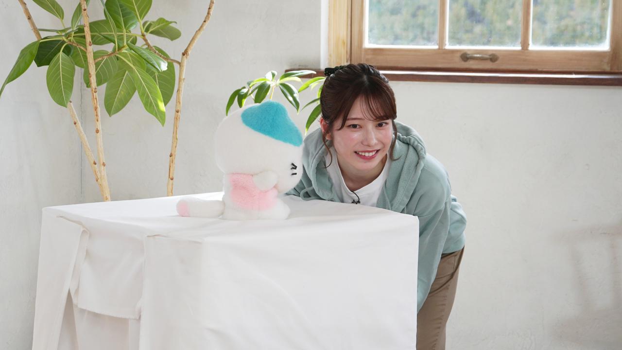 ネコにゃん~子猫はじめて体験物語2026~