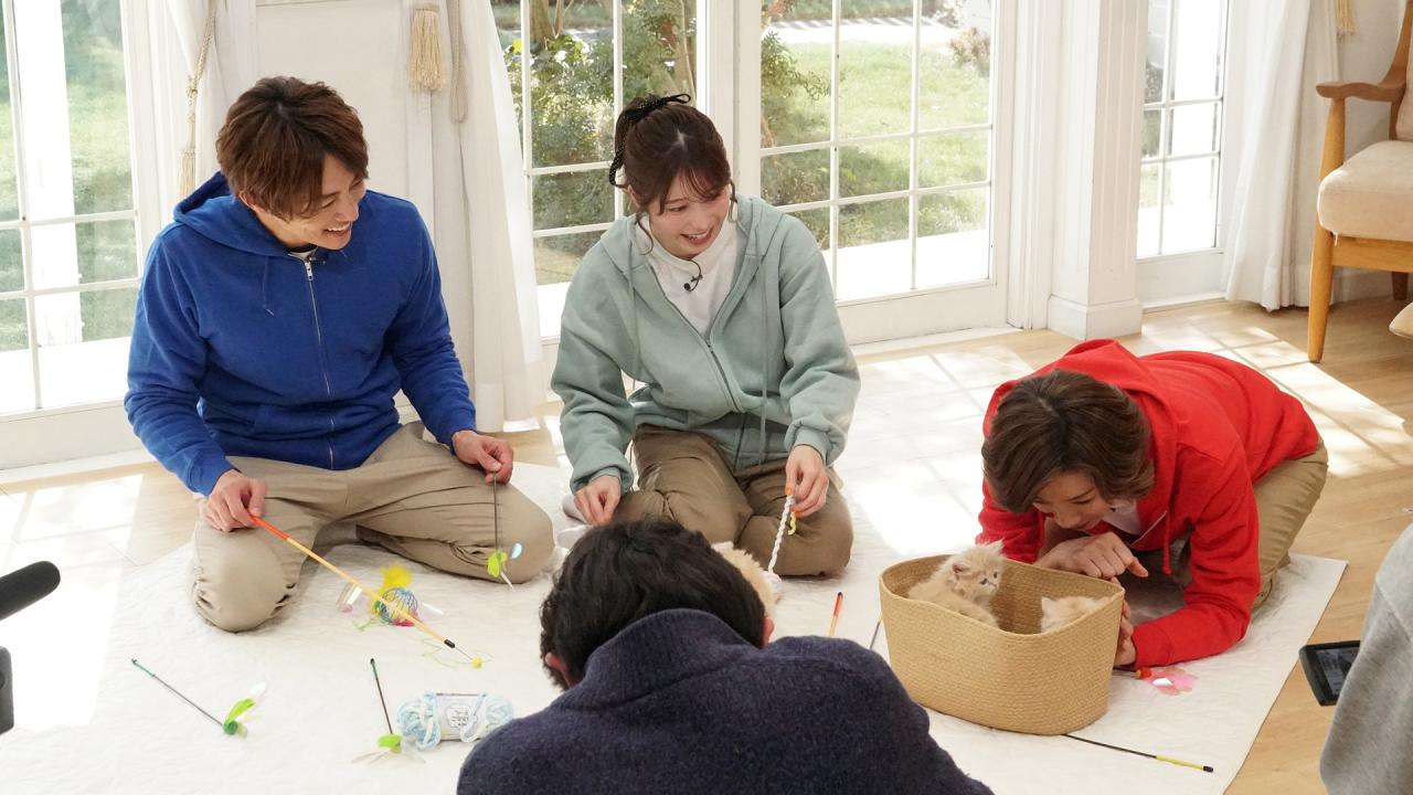 ネコにゃん~子猫はじめて体験物語2026~