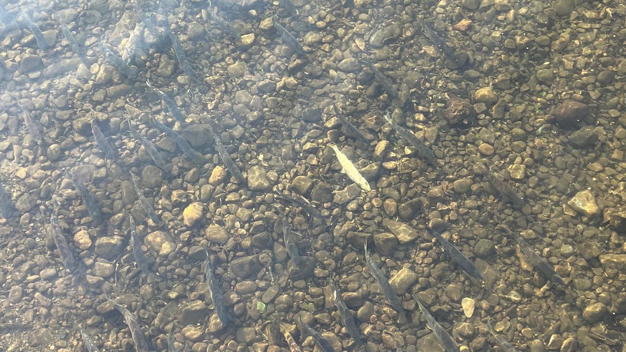 地の涯ての先へ　最後の秘境知床 遥かな物語